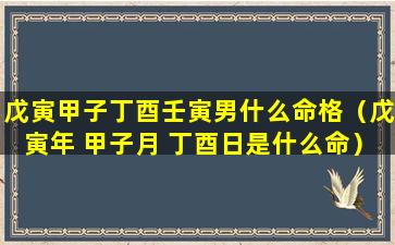 戊寅甲子丁酉壬寅男什么命格（戊寅年 甲子月 丁酉日是什么命）